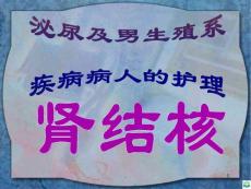 肾结核的护理课件