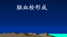 脑血栓形成课件