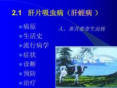 牛羊病寄生虫病课件