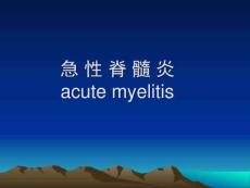 脊髓疾病急性脊髓炎