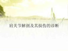 肩关节解剖及其损伤的诊断