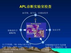 急性早幼粒细胞白血病课件