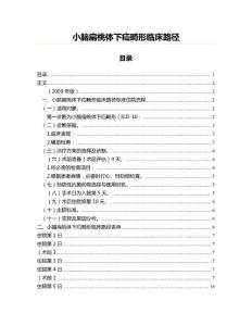 小脑扁桃体下疝畸形临床路径(医学论文资料)