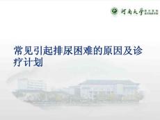 排尿困难的原因课件