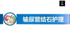 输尿管结石护理PPT