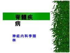 脊髓定位诊断及急性脊髓炎课件