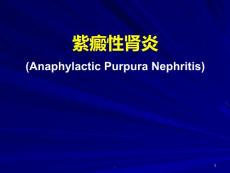 过敏性紫癜性肾炎课件