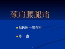 《颈肩腰腿痛》课件