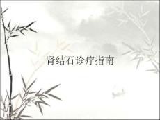 肾结石诊疗指南