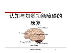 认知与知觉障碍的康复ppt课件