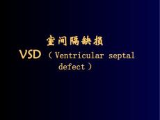 室间隔缺损.ppt