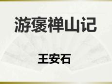 新課改《游褒禪山記》 課件