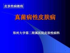 汗斑手足癣头癣课件