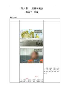 初中物理  初二物理上  第6章第2節 密度