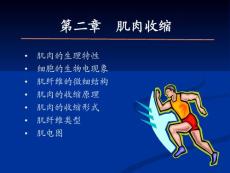 第2章  肌肉收缩