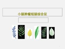 小肠肿瘤短肠综合征课件