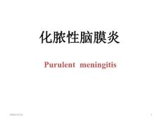 化脓性脑膜炎-课件