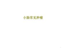小肠常见肿瘤课件