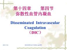 DIC弥散性血管内凝血-课件