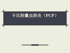卡氏肺囊虫肺炎（PCP）知识讲解课件