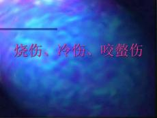 烧伤冷伤咬螫伤课件