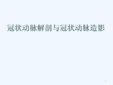 冠状动脉解剖与冠状动脉造影-课件