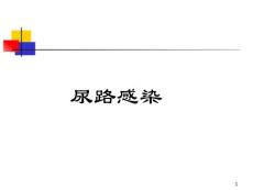 尿路感染课件