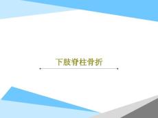 下肢脊柱骨折课件
