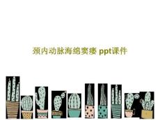 颈内动脉海绵窦瘘课件