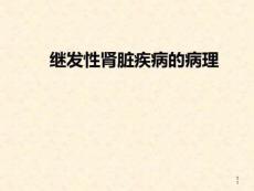继发性肾脏病的病理特点PPT参考幻灯片课件