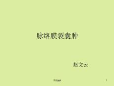 脉络膜裂囊肿课件