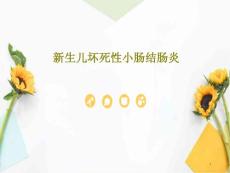 新生儿坏死性小肠结肠炎 ppt课件