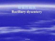 细菌性痢疾课件