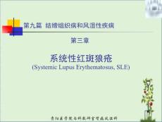 5系统性红斑狼疮