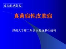 汗斑手足癣头癣课件