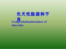 先天性肠旋转不良课件