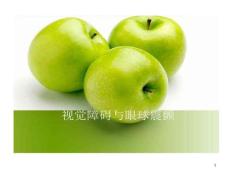 视觉障碍和眼球震颤课件