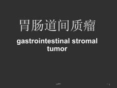 胃肠道间质瘤--课件