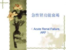 急性肾功能衰竭课件