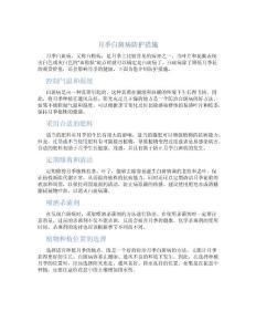 月季白斑病防护措施
