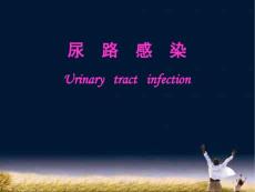 尿路感染--课件