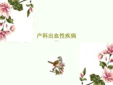 产科出血性疾病课件