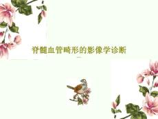 脊髓血管畸形的影像学诊断课件