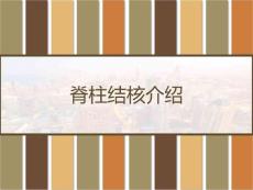 脊柱结核介绍课件
