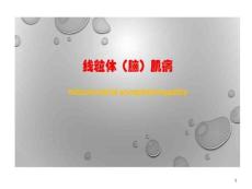 线粒体肌病课件