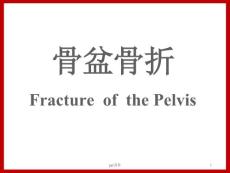 骨盆骨折-课件
