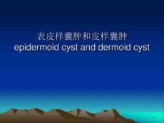 表皮样囊肿和皮样囊肿的影像学鉴别诊断-ppt课件
