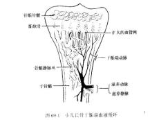 骨髓炎和结核课件