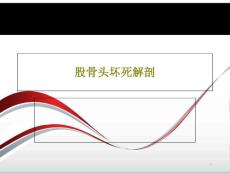 股骨头坏死解剖课件
