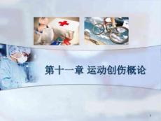 运动创伤的分类课件